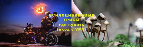 спиды Алексин